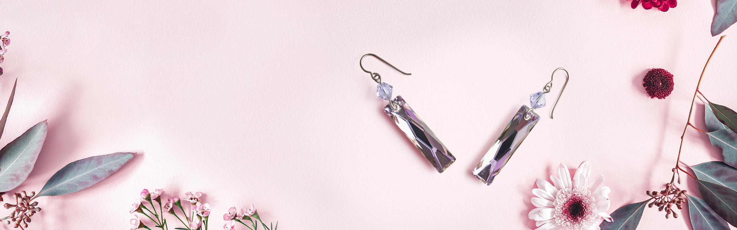Titanium Earrings Simply Whispers