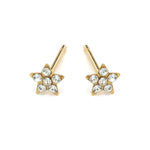 Mini Star Gold Stud Earrings - Simply Whispers