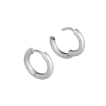 Silver Titanium Huggie Earrings - Simply Whispers