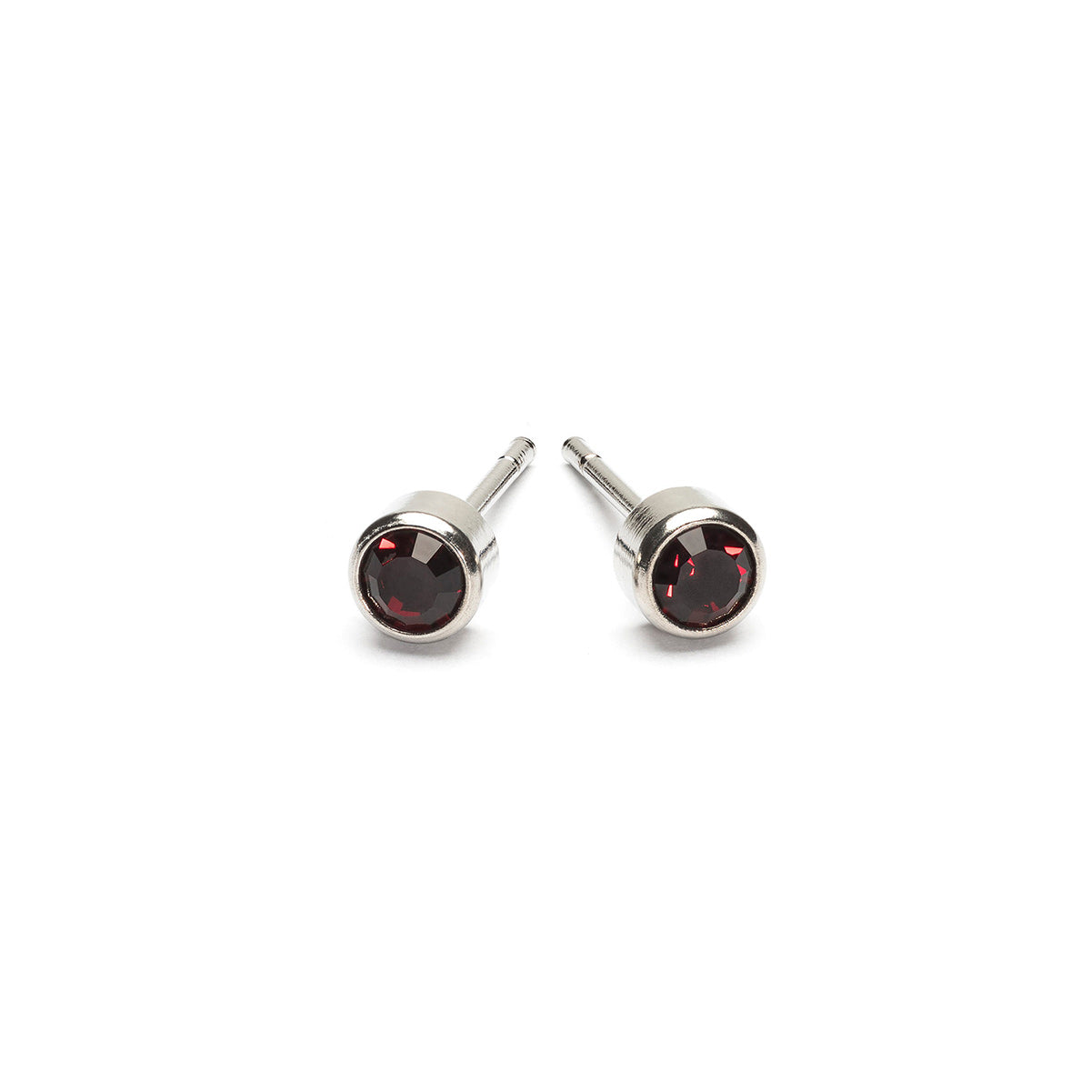 January Birthstone Stainless Steel Earrings - Simply Whispers