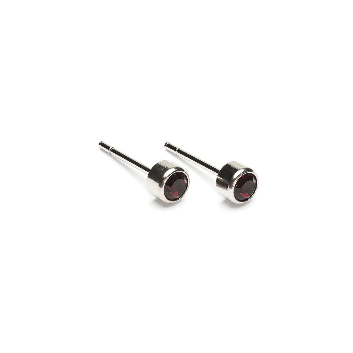 January Birthstone Stainless Steel Earrings - Simply Whispers