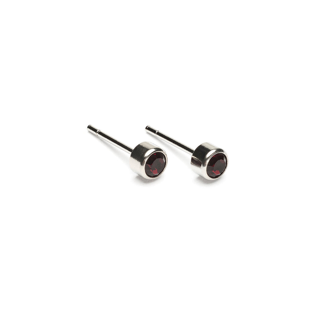 January Birthstone Stainless Steel Earrings - Simply Whispers
