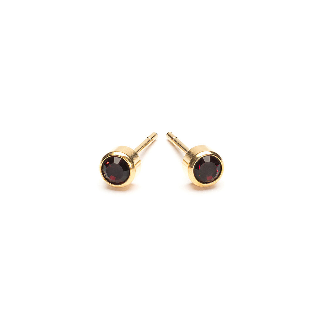 January Birthstone 14k Gold Plated Earrings - Simply Whispers