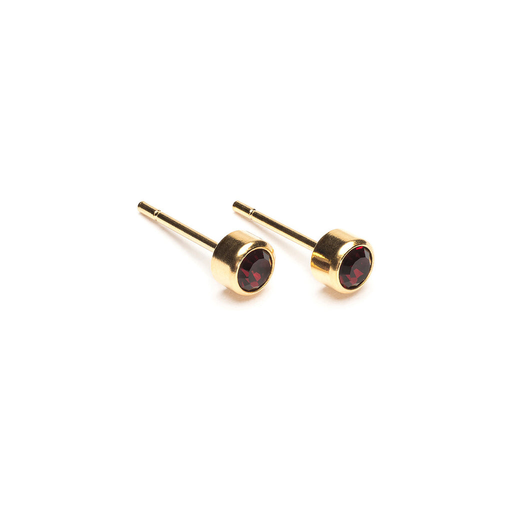 January Birthstone 14k Gold Plated Earrings - Simply Whispers