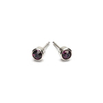 February Birthstone Stainless Steel Earrings - Simply Whispers