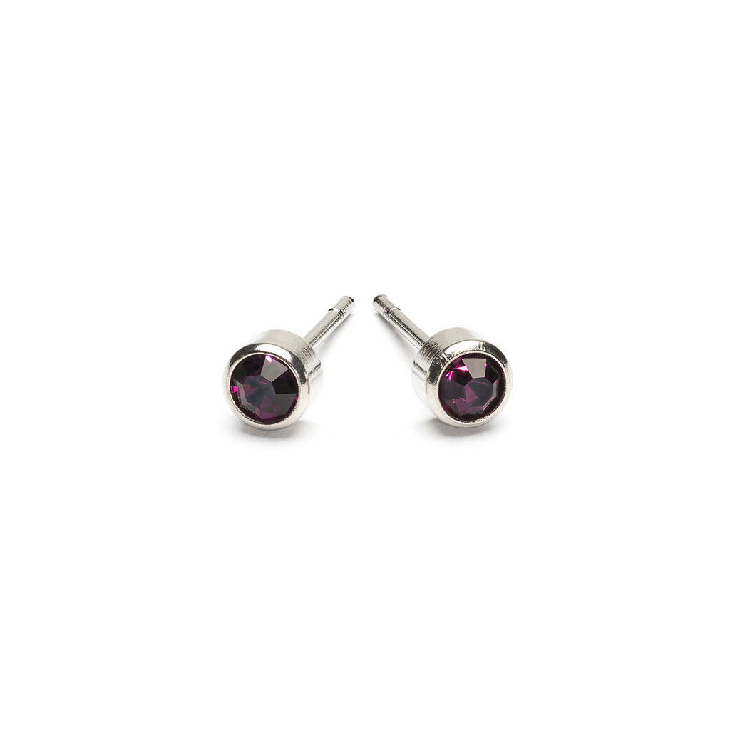 February Birthstone Stainless Steel Earrings - Simply Whispers