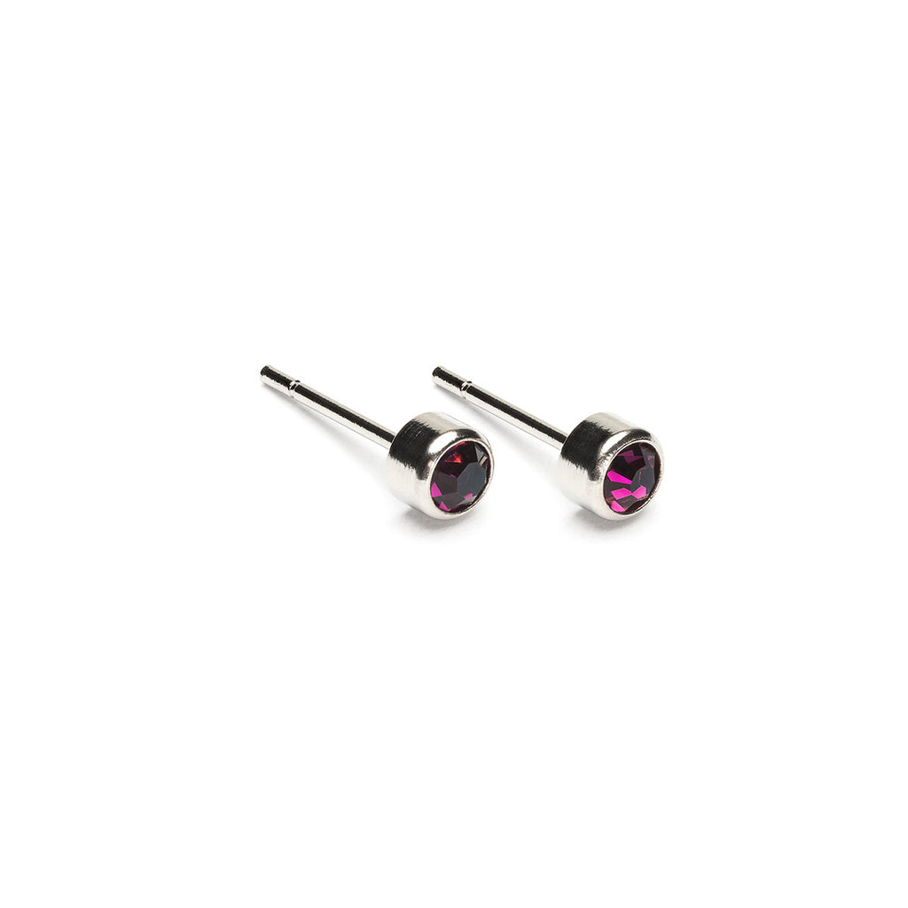 February Birthstone Stainless Steel Earrings - Simply Whispers