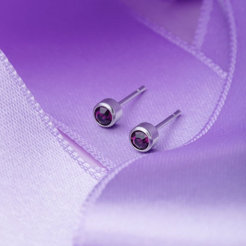 February Birthstone Stainless Steel Earrings - Simply Whispers