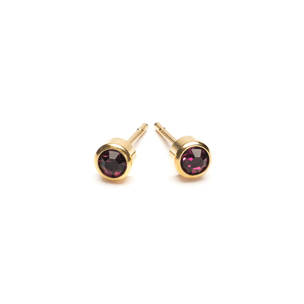 February Birthstone 14k Gold Plated Earrings - Simply Whispers