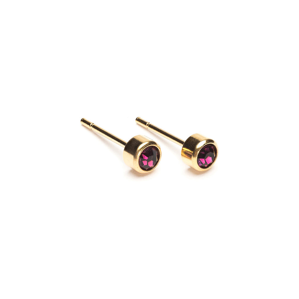 February Birthstone 14k Gold Plated Earrings - Simply Whispers