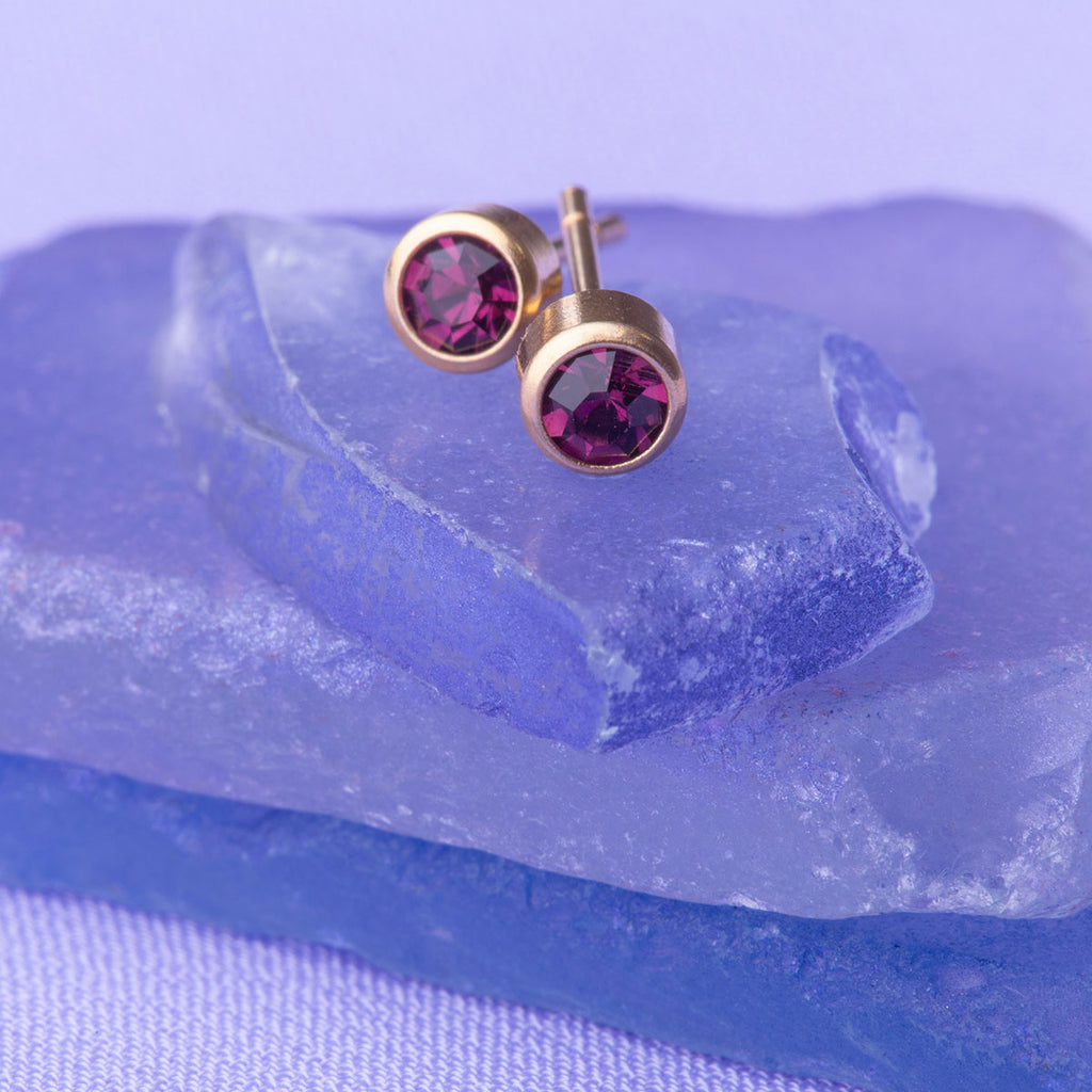 February Birthstone 14k Gold Plated Earrings - Simply Whispers