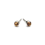 November Birthstone Stainless Steel Earrings - Simply Whispers
