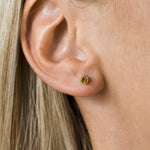 November Birthstone Stainless Steel Earrings - Simply Whispers