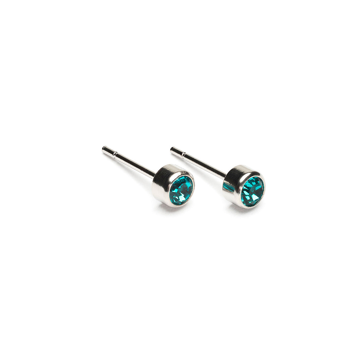December Birthstone Stainless Steel Earrings - Simply Whispers