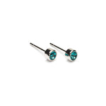 December Birthstone Stainless Steel Earrings - Simply Whispers