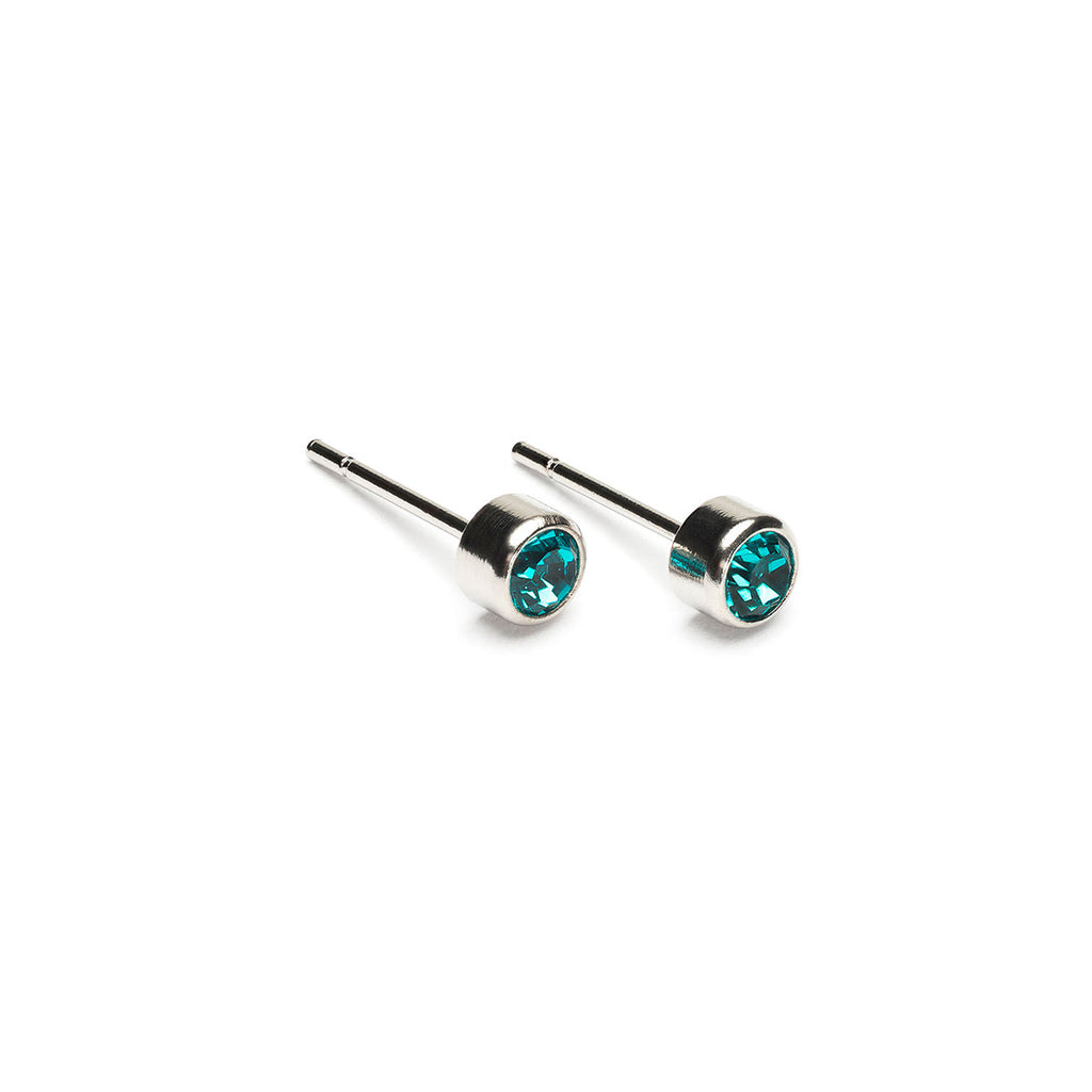 December Birthstone Stainless Steel Earrings - Simply Whispers
