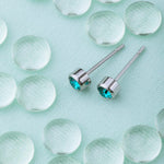 December Birthstone Stainless Steel Earrings - Simply Whispers
