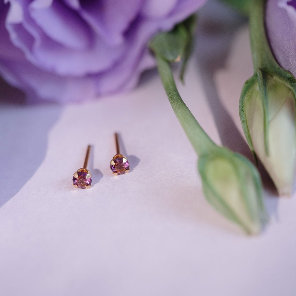February Birthstone 14k Gold Plated Stud Earrings - Simply Whispers
