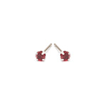 January Birthstone Stainless Steel Stud Earrings - Simply Whispers