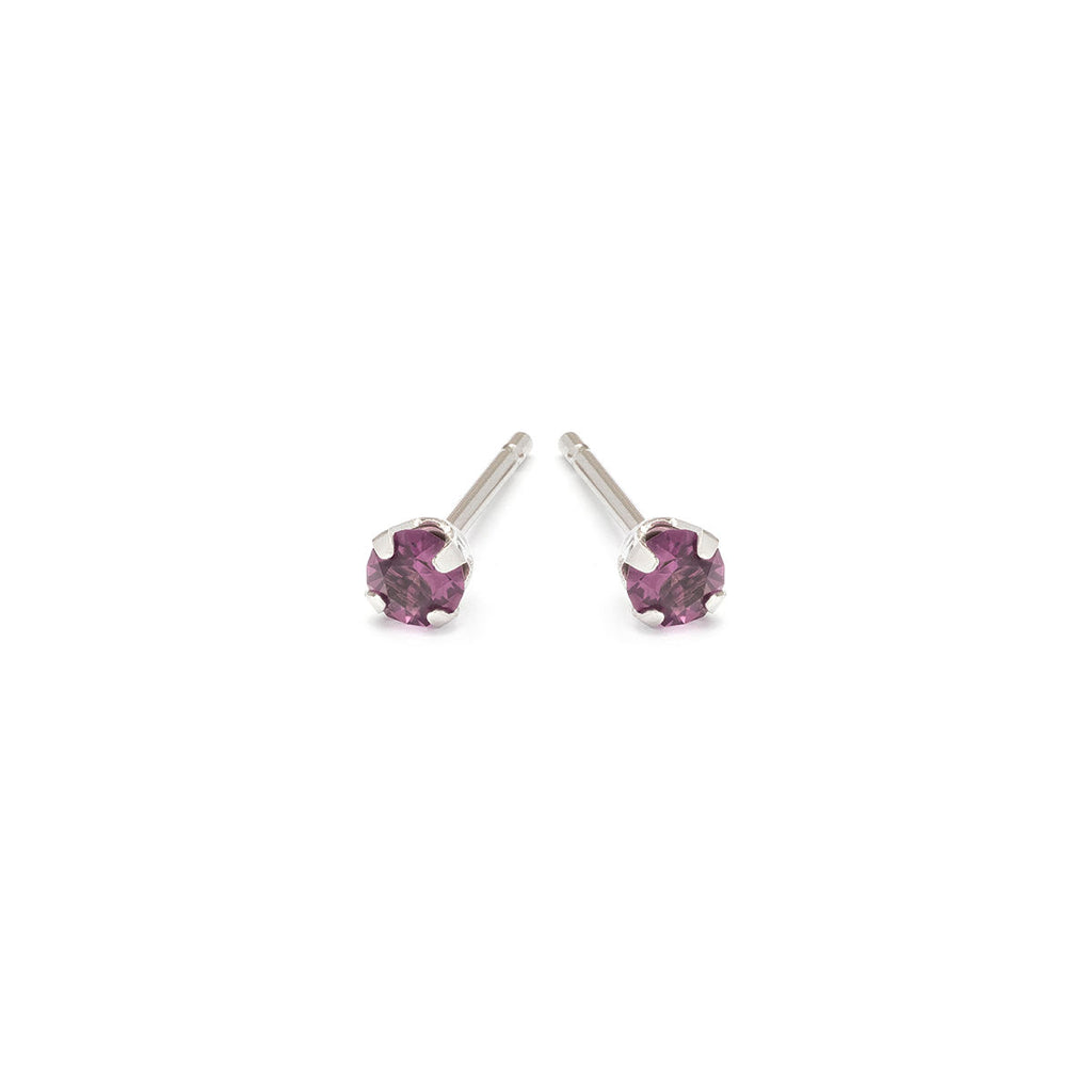 February Birthstone Stainless Steel Stud Earrings - Simply Whispers