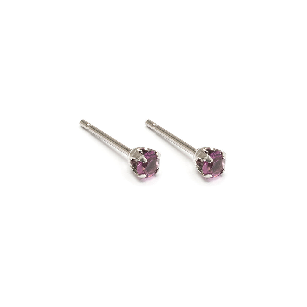 February Birthstone Stainless Steel Stud Earrings - Simply Whispers