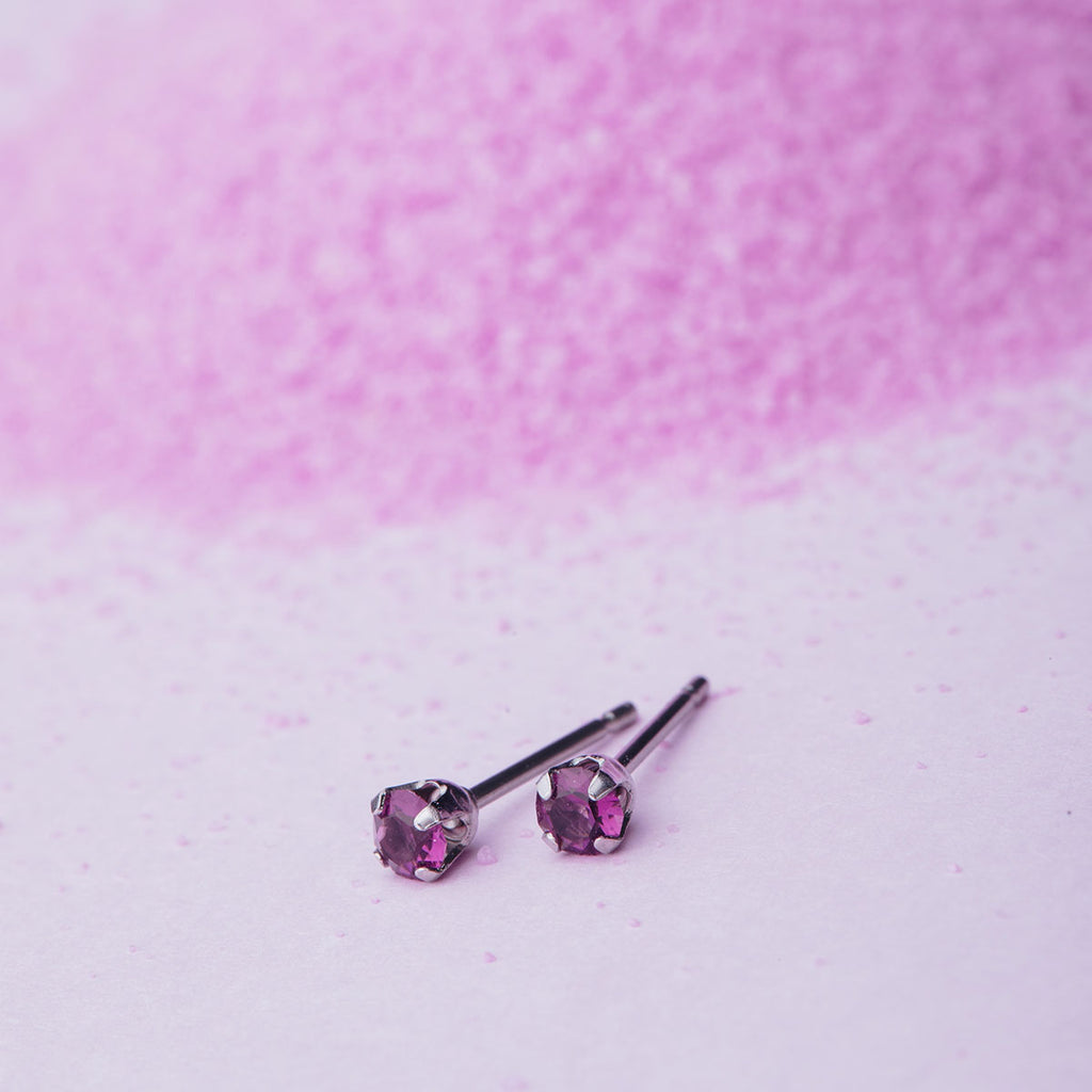 February Birthstone Stainless Steel Stud Earrings - Simply Whispers