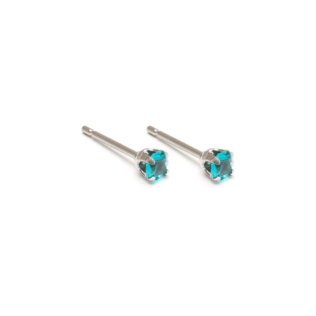 December Birthstone Stainless Steel Stud Earrings - Simply Whispers