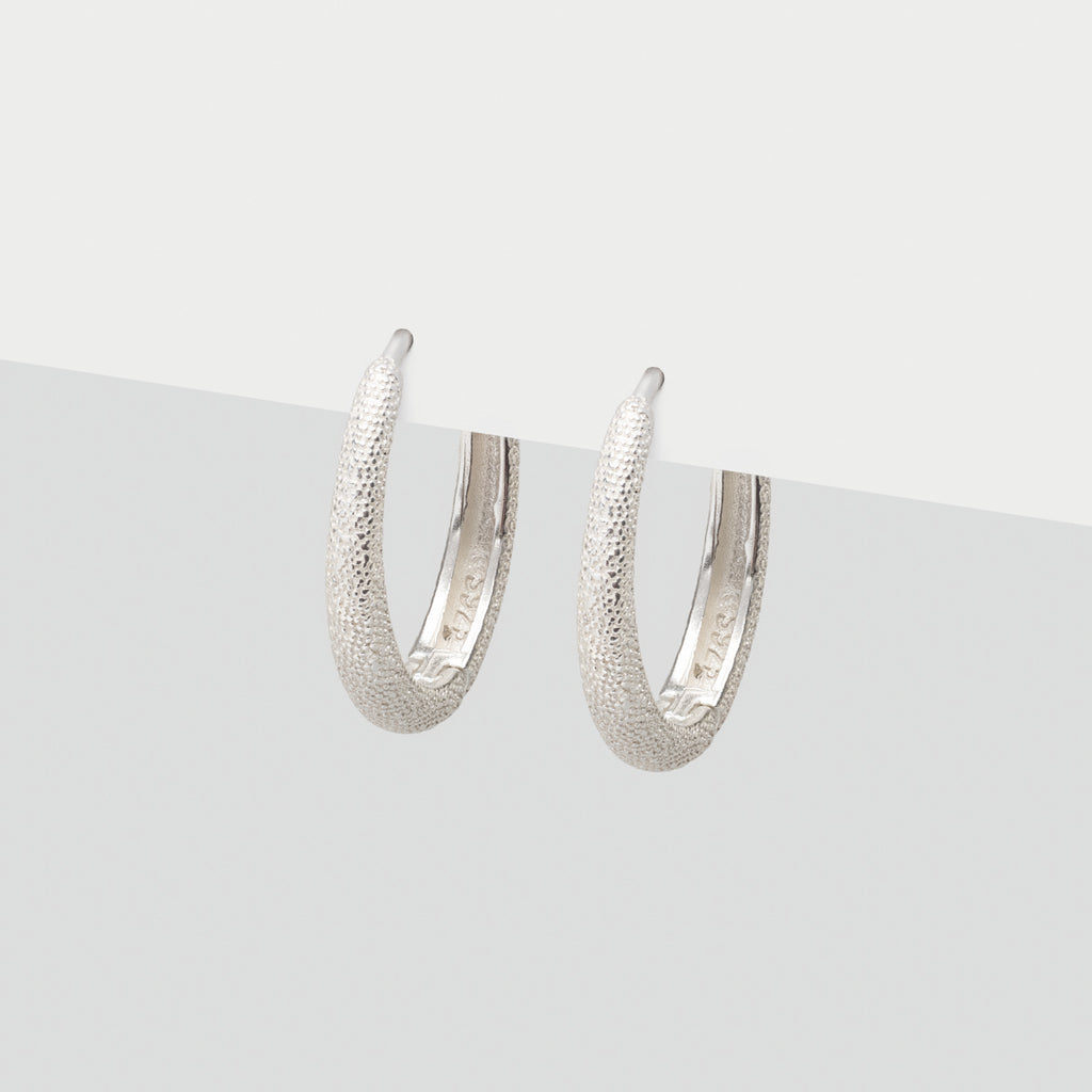 Shiny Silver Hoop Earrings - Simply Whispers