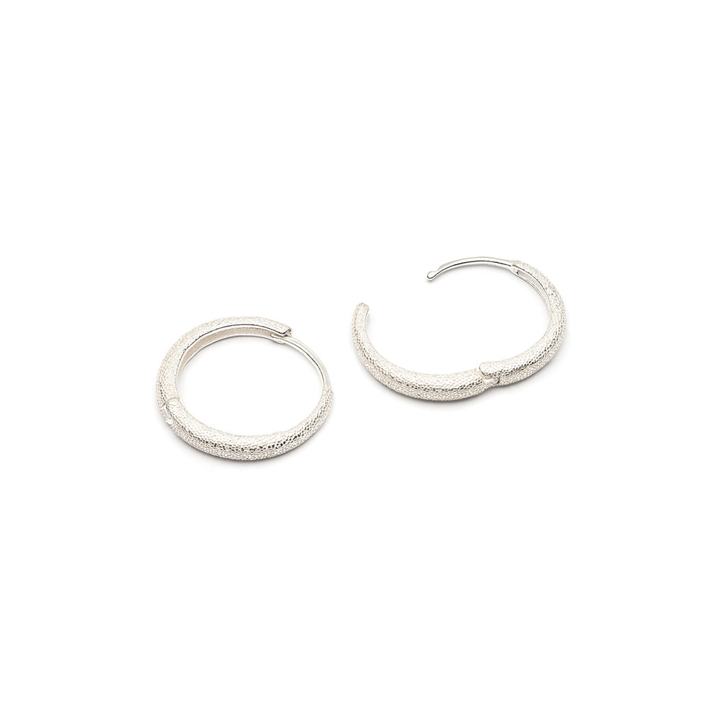 Shiny Silver Hoop Earrings - Simply Whispers