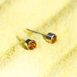November Birthstone Stainless Steel Earrings - Simply Whispers